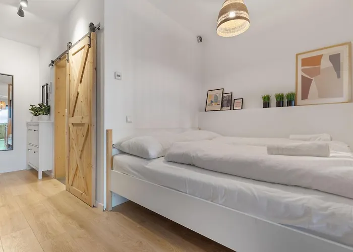 Lam Stadium 2 - Terrace * Pozsony